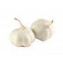 GARLIC 2 POD CTN 2 OZ