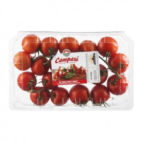 TOMATOES CAMPARI EUROFRS 14 OZ