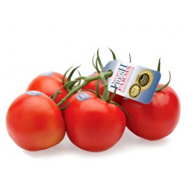 TOMATO EURFRESH COV 12 OZ