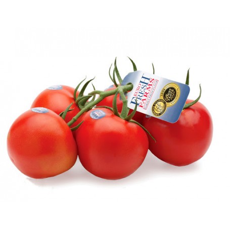 TOMATO EURFRESH COV 12 OZ