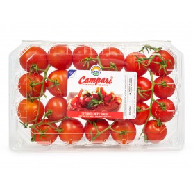 TOMATOES CAMPARI OTV 1.25 LB