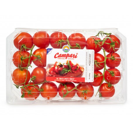 TOMATOES CAMPARI OTV 1.25 LB