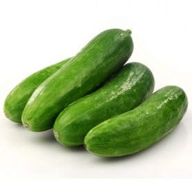 CUCUMBER MINI EUROFRSH ALB