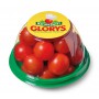 TOMATOES NAT SWT 12 OZ
