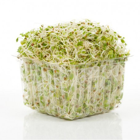 SPROUTS ALFALFA WORLD VAR 4 OZ