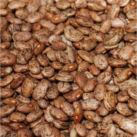 MONTELORES PINTO BEANS (64 LB)