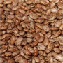MONTELORES PINTO BEANS (64 LB)