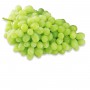 GRAPES GREEN 2# WM