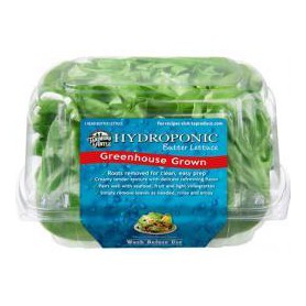 TANIMURA/ANTLE LETTUCE HYDR EA