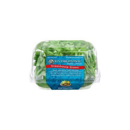 TANIMURA/ANTLE LETTUCE HYDR EA