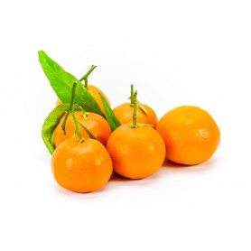 CLEMENTINE 3# CA CHR WM