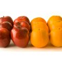 APPLE ORANGE 3# WA/AU EV WM