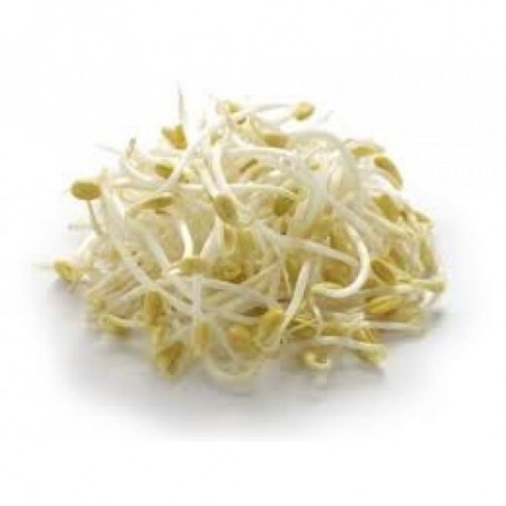 SPROUTS BEAN BAGGED