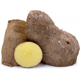 KIWIFRUIT - GOLDEN