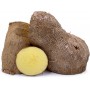 KIWIFRUIT - GOLDEN