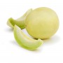 HONEYDEW/WHITE HONEYDEW MELON