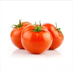 TOMATOES REGULAR