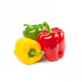 BELL FIELD GROWN PEPPERS (CAPSICUMS)