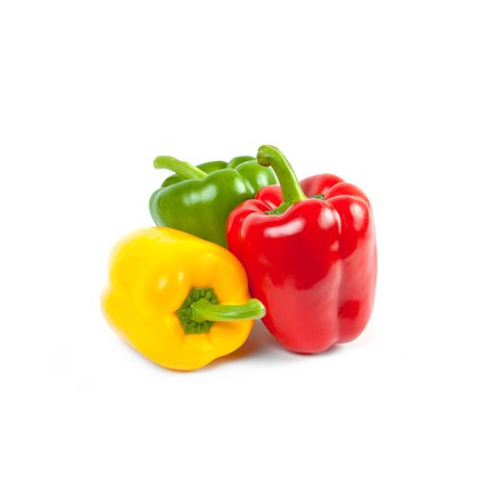 BELL FIELD GROWN PEPPERS (CAPSICUMS)