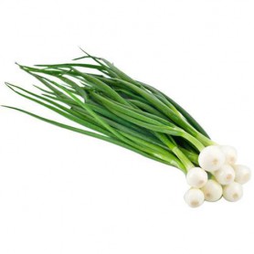 ONIONS GREEN (SCALLIONS)/SPRING
