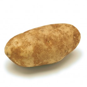 POTATO RUSSET IPA