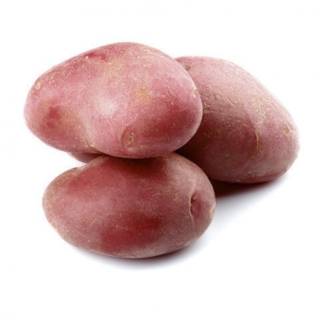 POTATO RED IPA
