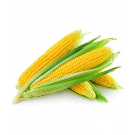 CORN SWEET YELLOW CORN