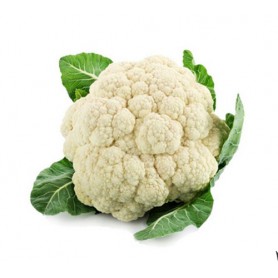 CAULIFLOWER