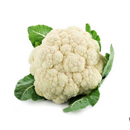 CAULIFLOWER