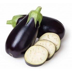EGGPLANT (AUBERGINE) REGULAR