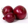 ONIONS RED