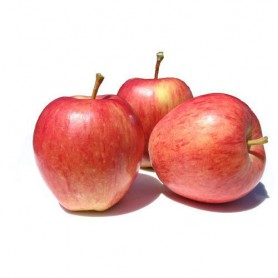 APPLES GALA