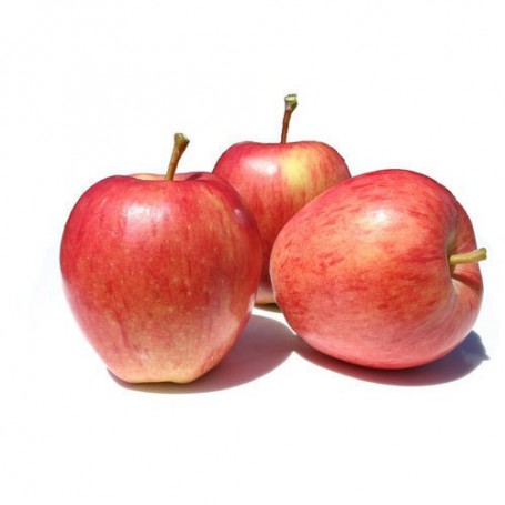 APPLES GALA