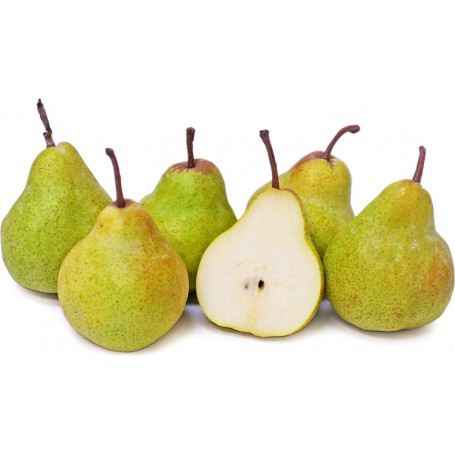 PEARS PACKHAM/PACKHAMS TRIUM