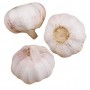 GARLIC REGULAR