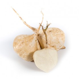 JICAMA/YAM BEAN