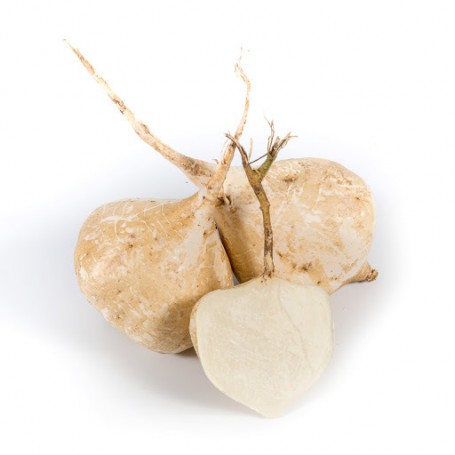 JICAMA/YAM BEAN