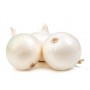 ONIONS WHITE