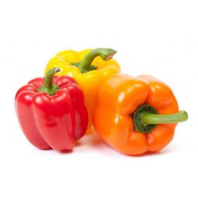 ANAHEIM (GR & RED) PEPPERS (CAPSICUM)