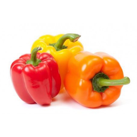 ANAHEIM (GR & RED) PEPPERS (CAPSICUM)