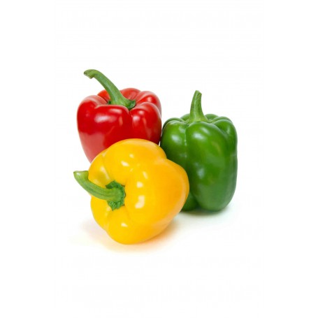 CHILI PEPPERS (CAPSICUMS)