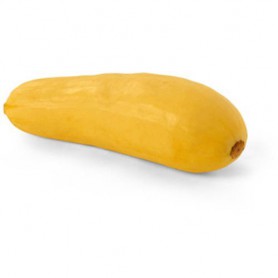 SQUASH YELLOW