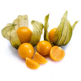 TOMATILLOS/HUSK TOMATOES TOMATOES