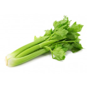 BUNCH CELERY