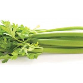 AMERICAN CLASSIC CELERY
