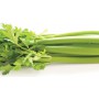 AMERICAN CLASSIC CELERY