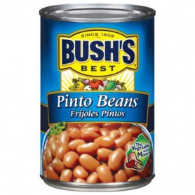BUSHS PINTO BEANS (16 OZ)