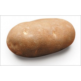 POTATO IDAHO 5#