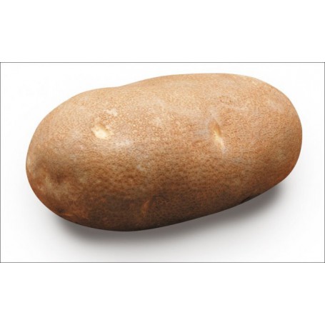 POTATO IDAHO 5#