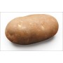 POTATO IDAHO 5#